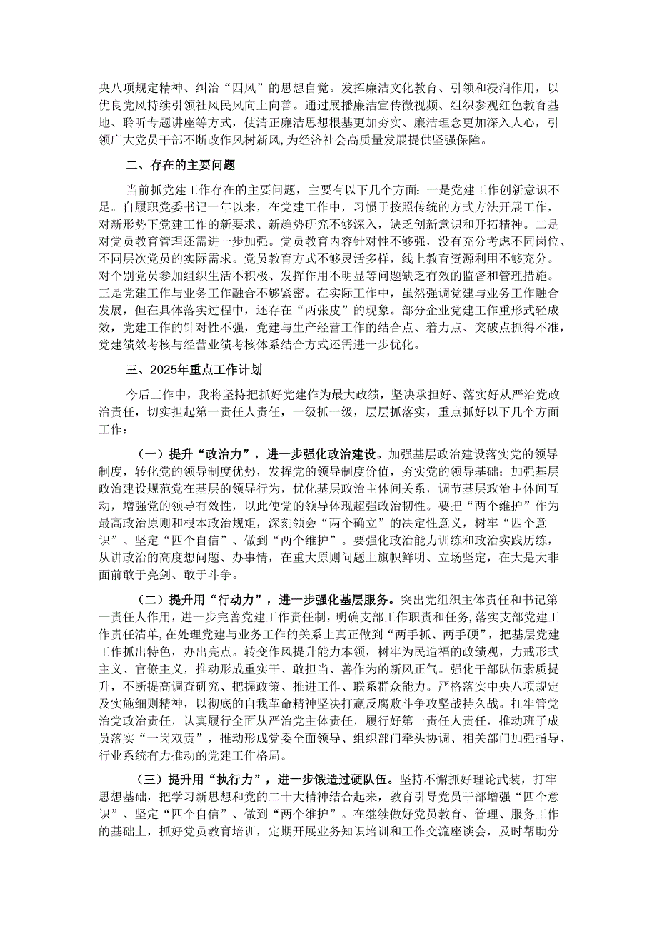2024年党委书记抓党建工作述职报告.docx_第3页