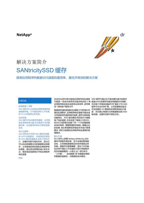 NetApp 数据表 SANtricity SSD缓存彩页.docx