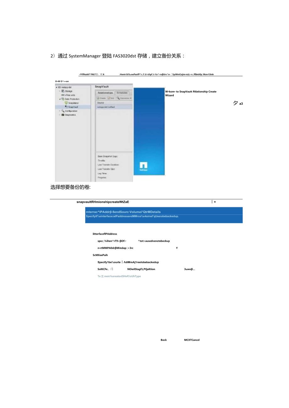 NetApp SnapVault功能演示.docx_第3页