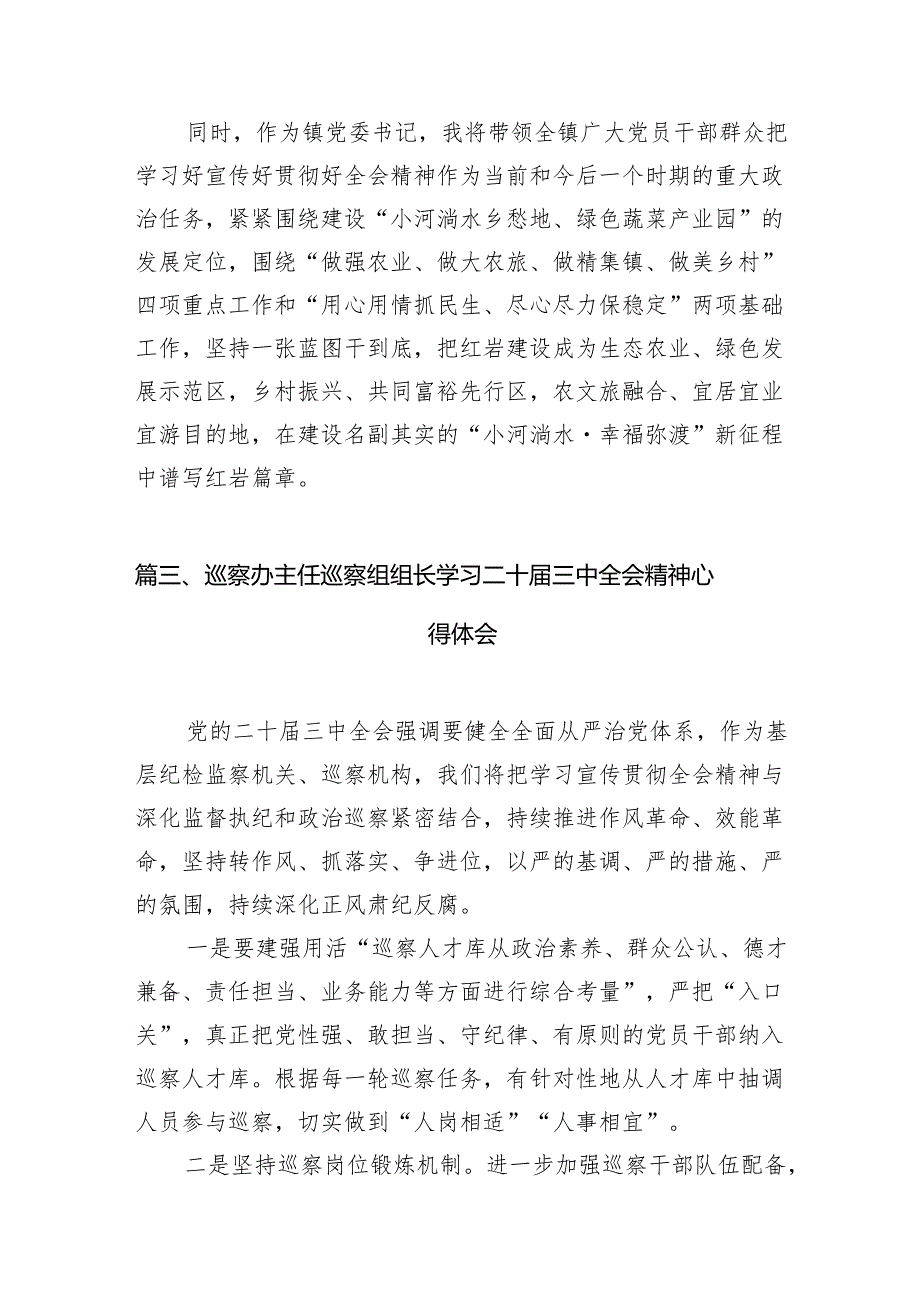 （11篇）镇纪委书记学习二十三中全会心得体会研讨发言（精选）.docx_第3页