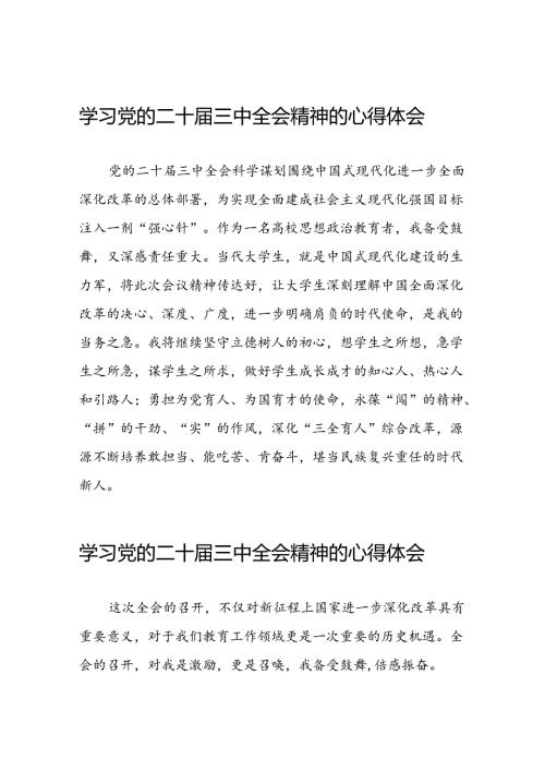 (精选)党的二十三中全会精神学习心得体会三十篇.docx