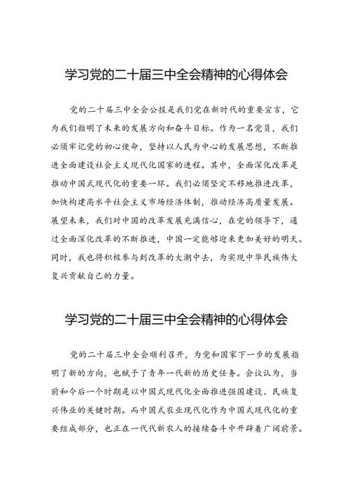 2024年学习党的二十三中全会精神的心得感悟汇编50篇.docx