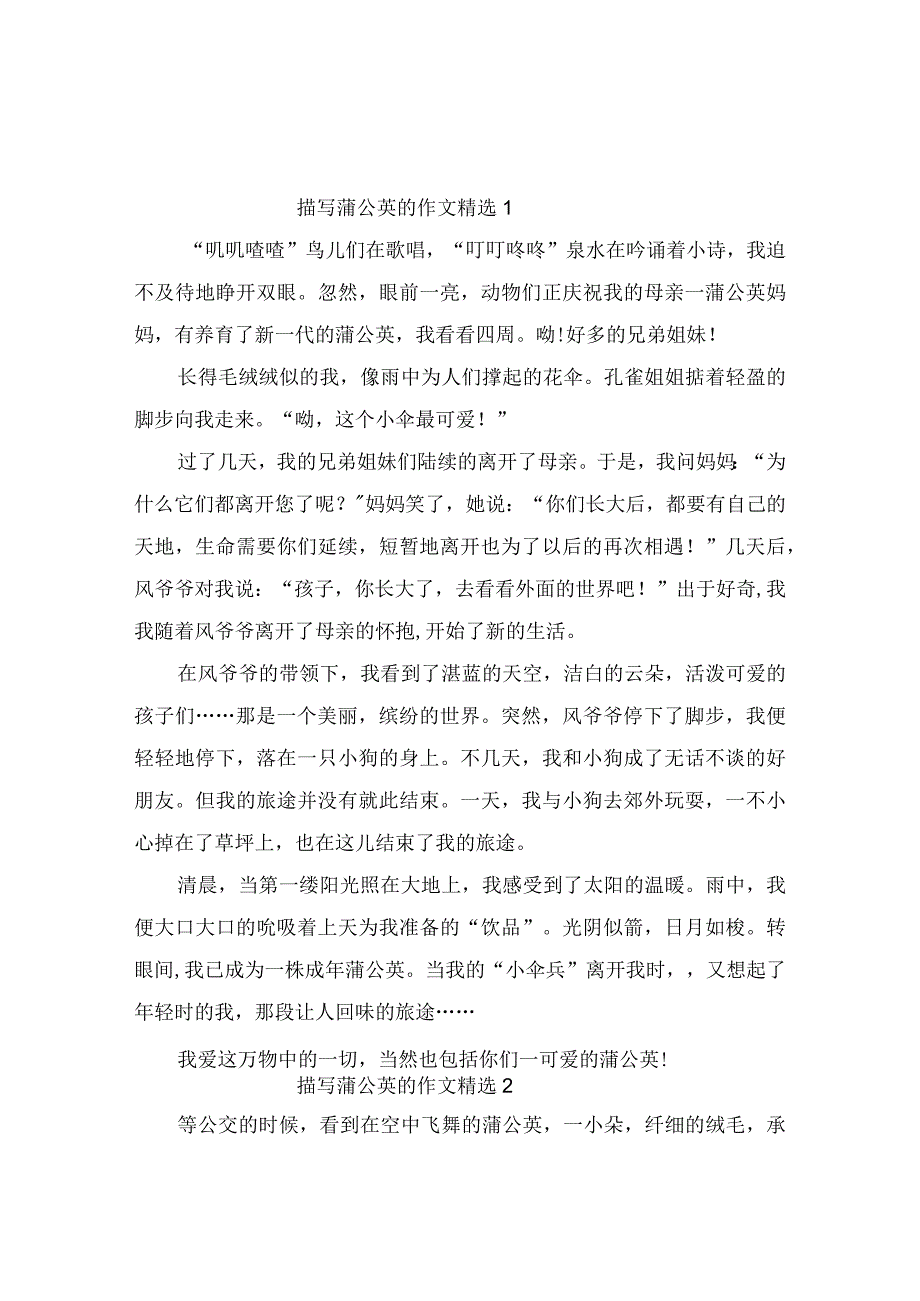 描写蒲公英的作文精选4篇.docx_第1页