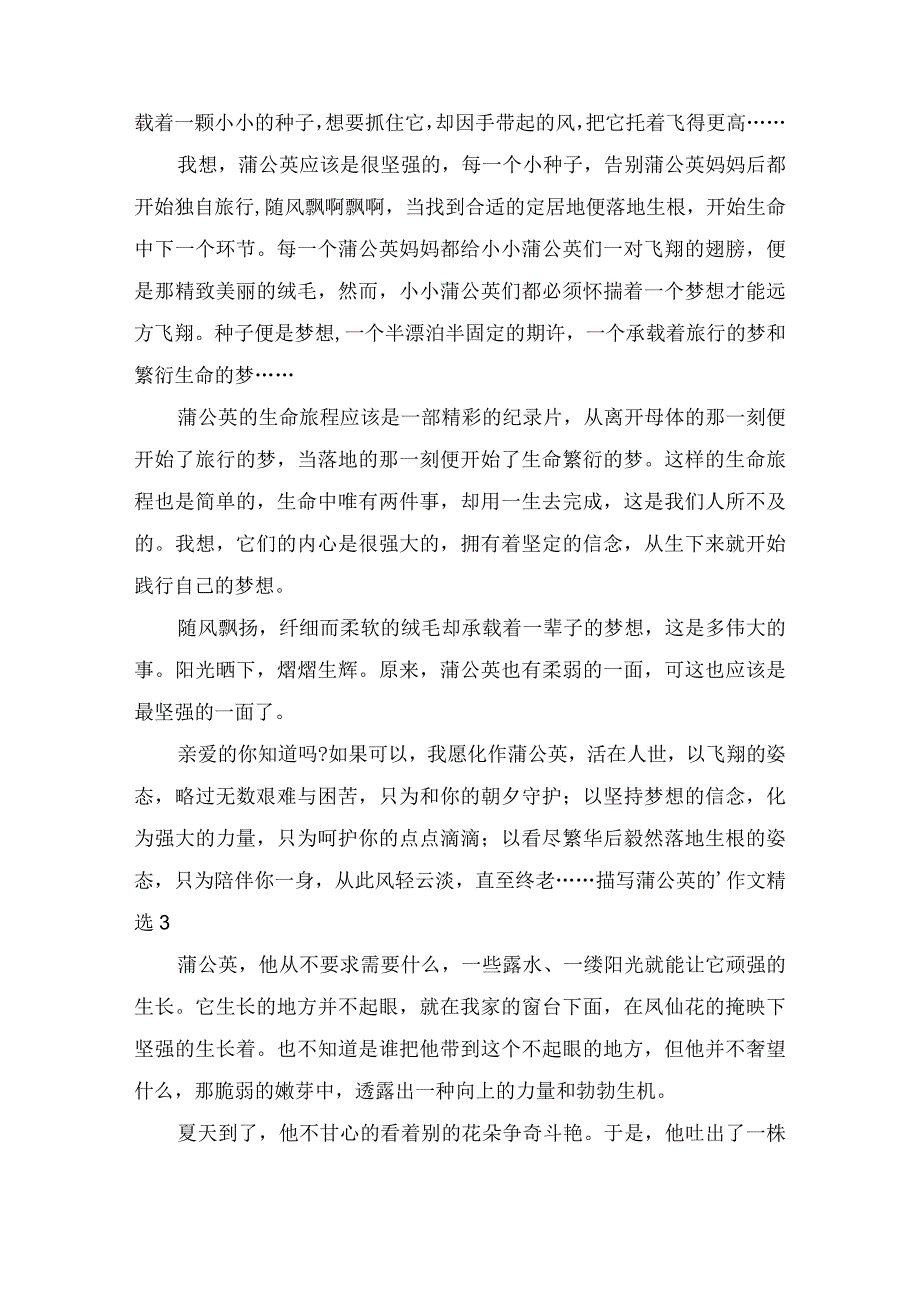 描写蒲公英的作文精选4篇.docx_第2页