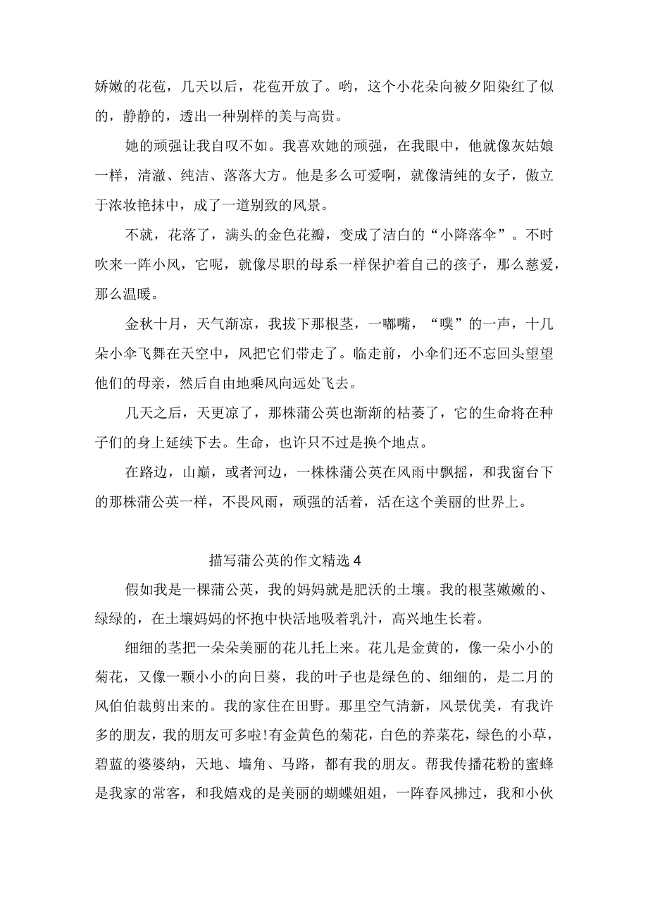 描写蒲公英的作文精选4篇.docx_第3页
