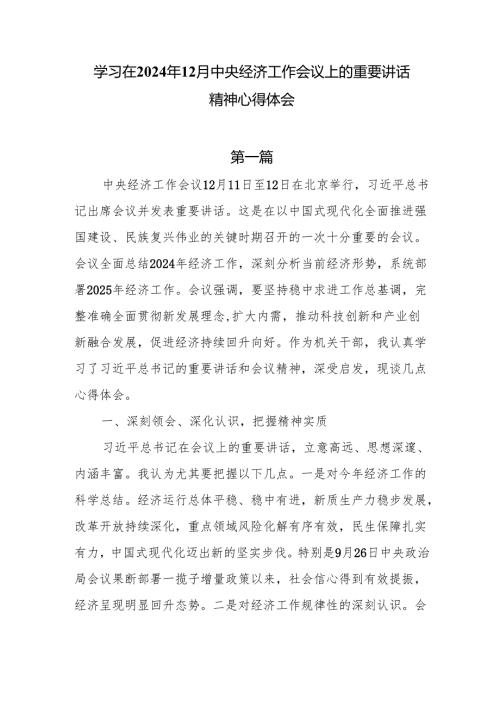 学习在2024年12月中央经济工作会议上的重要讲话精神心得体会6篇.docx