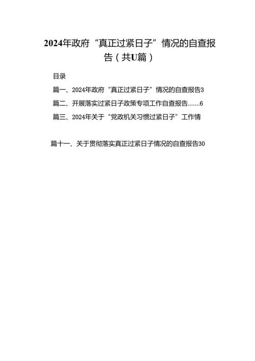 2024年政府“真正过紧日子”情况的自查报告11篇供参考.docx
