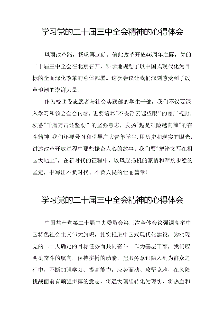 学习2024年党的二十三中全会精神的心得体会模板四十四篇.docx_第3页