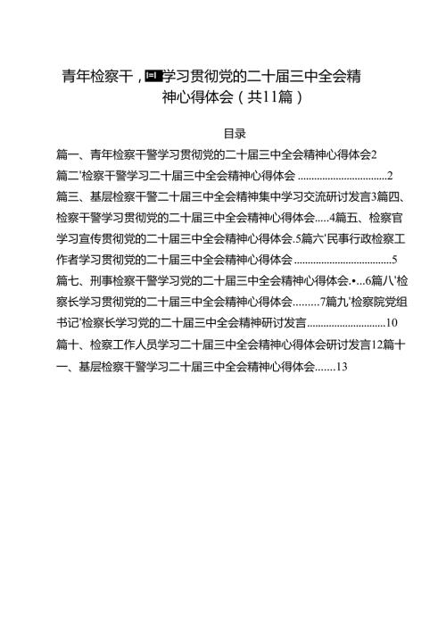 青年检察干警学习贯彻党的二十三中全会精神心得体会最新精选版【11篇】.docx