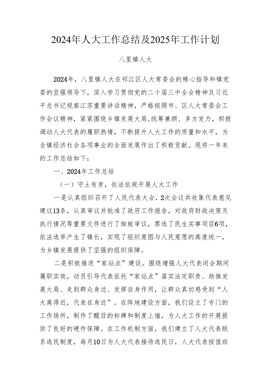 2024年镇人大工作总结及2025年工作计划(1).docx_第1页
