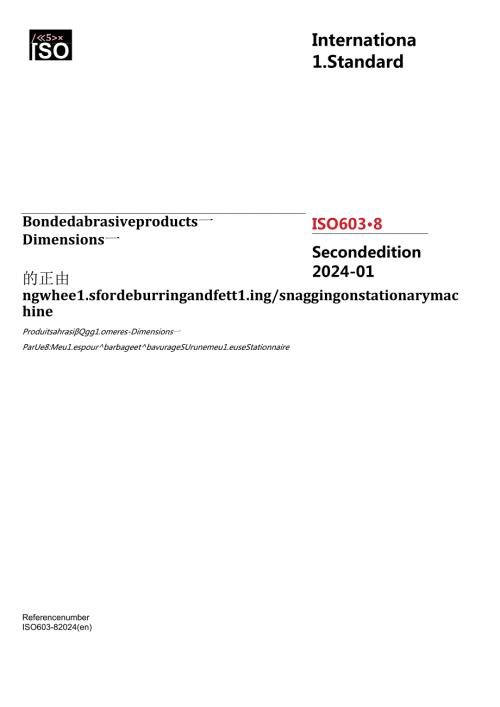 ISO 0060382024.docx