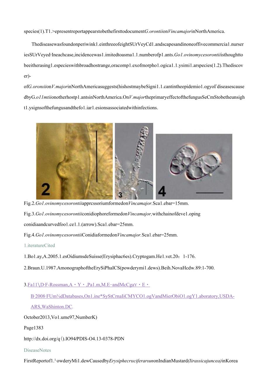 First Report of Powdery Mildew of Periwinkle CausedGolovinomyces orontii in North America.docx_第2页