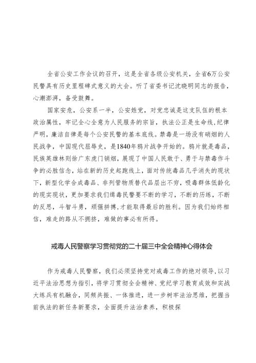 禁毒大队大队长学习党的二十三中全会精神发言材料（共七篇）.docx
