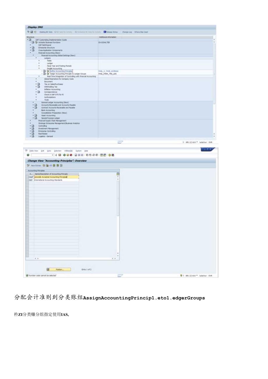 SAPFISAPParallelAccounting平行分类账配置与操作.docx_第3页