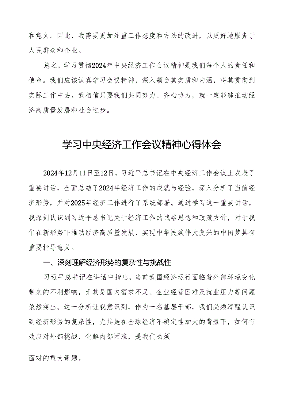 学习2024年中央经济工作会议心得体会发言稿十篇.docx_第2页