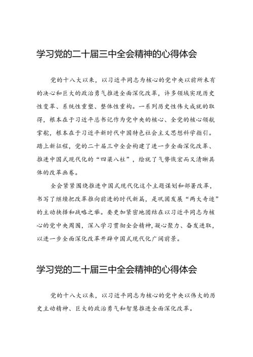 学习党的二十三中全会精神的心得体会最新版发言稿三十篇.docx