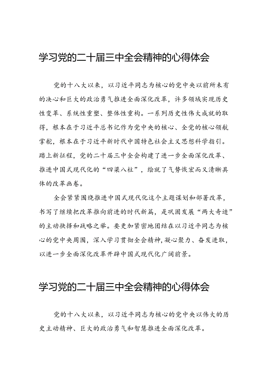 学习党的二十三中全会精神的心得体会最新版发言稿三十篇.docx_第1页