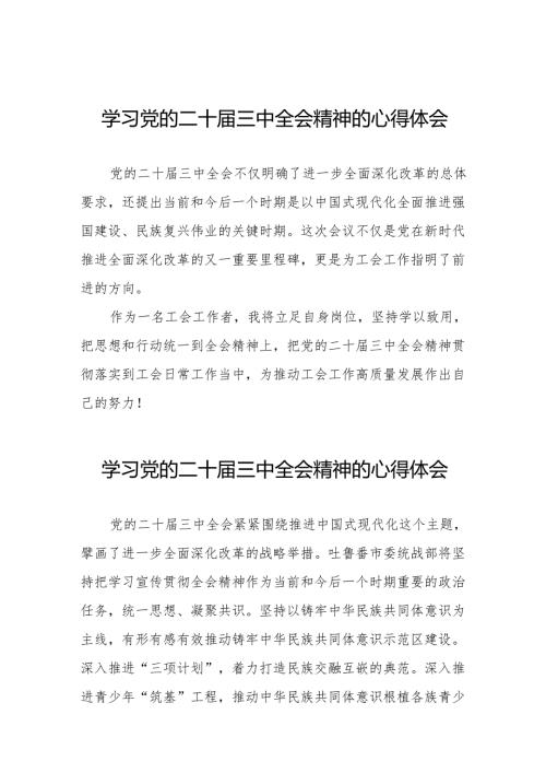 党员学习贯彻党的二十三中全会精神心得感悟交流发言36篇.docx
