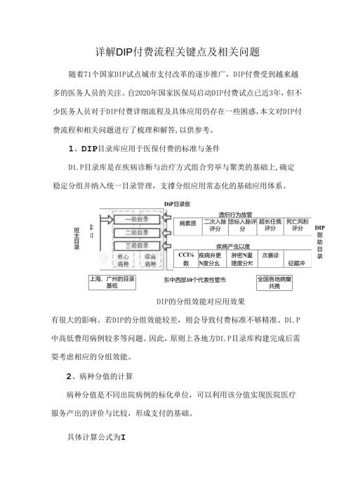详解DIP付费流程关键点及相关问题.docx