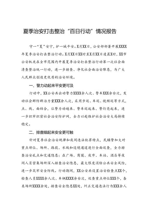 十二篇2024年夏季治安打击整治行动情况报告.docx