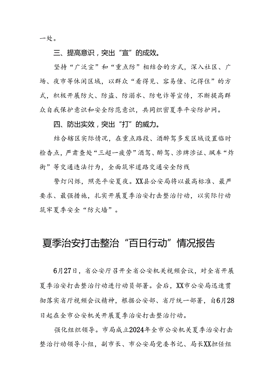 十二篇2024年夏季治安打击整治行动情况报告.docx_第3页