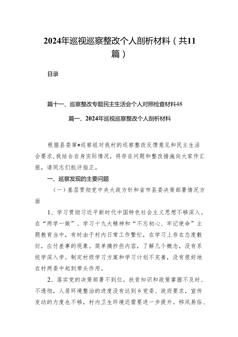 （11篇）2024年巡视巡察整改个人剖析材料模板.docx_第1页