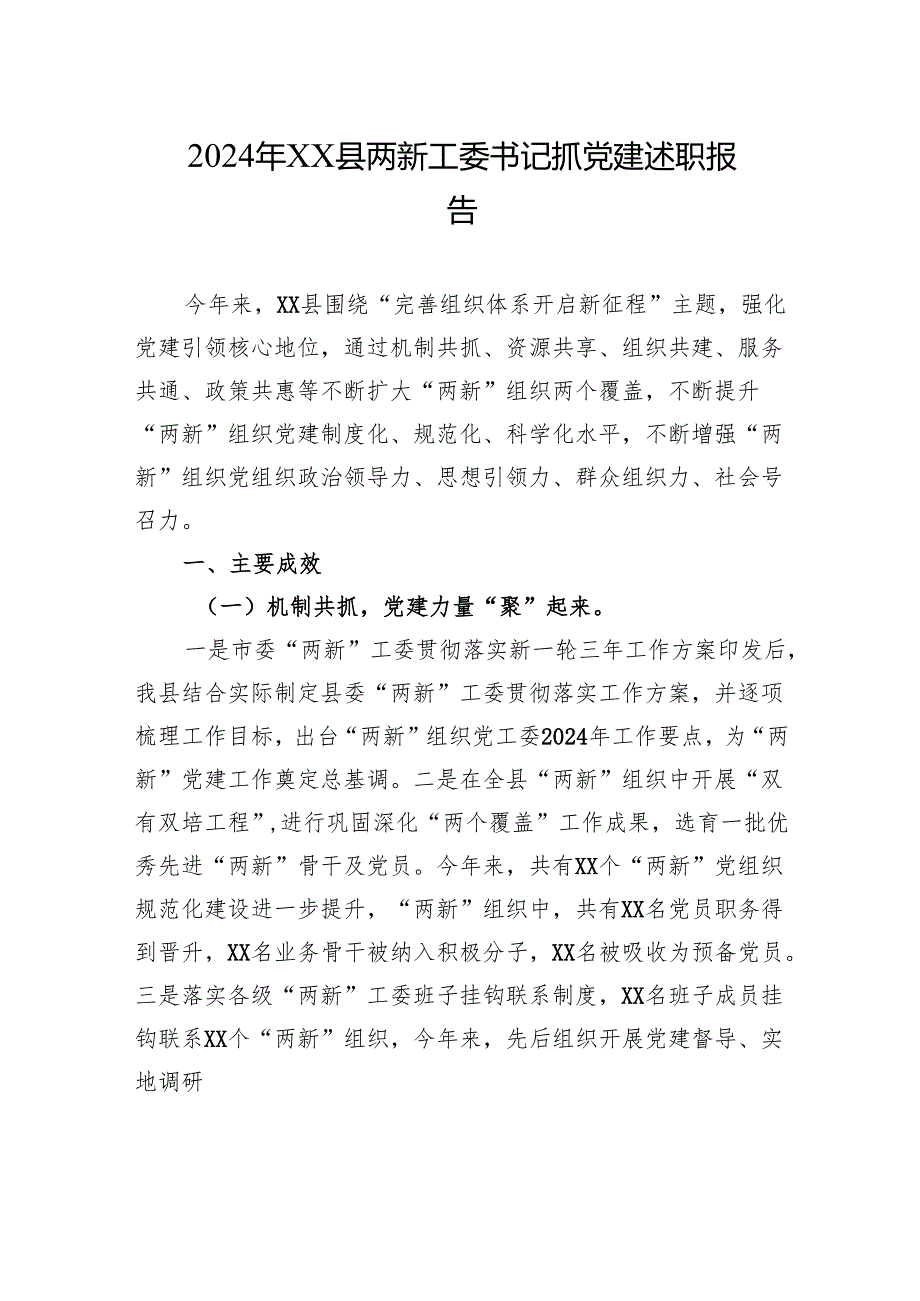 2024年XX县两新工委书记抓党建述职报告.docx_第1页