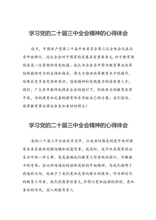 学习2024年党的二十三中全会心得感悟十四篇.docx