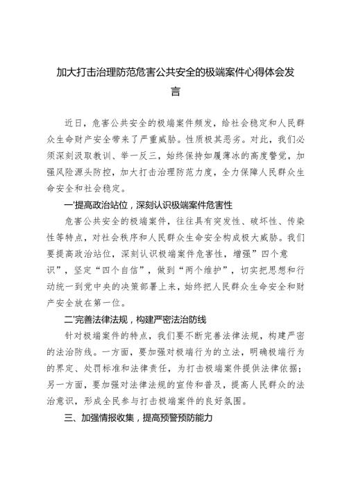 20242025年加大打击治理防范危害公共安全的极端案件心得体会发言.docx