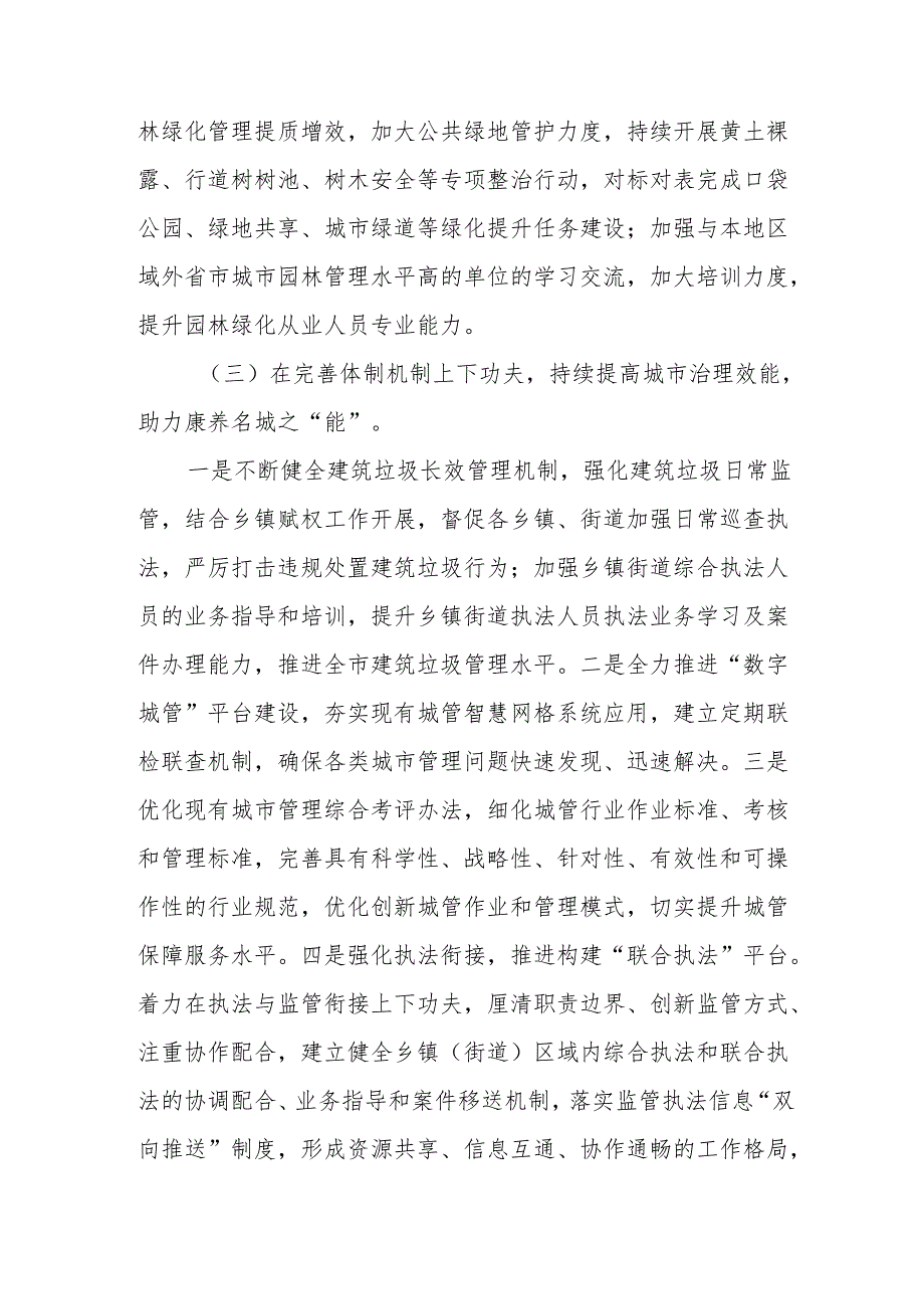 城市管理局2025年工作计划两篇.docx_第3页