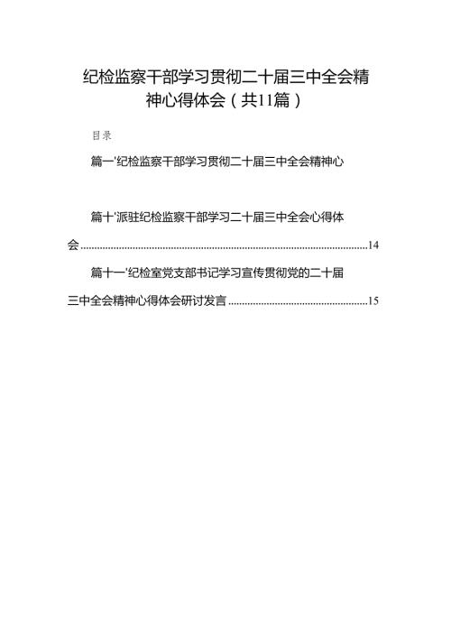 （11篇）纪检监察干部学习贯彻二十三中全会精神心得体会（最新版）.docx