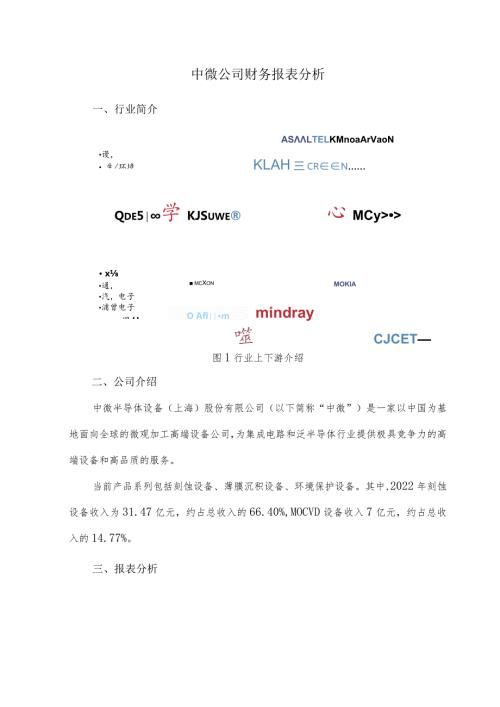 中微公司财务报表分析.docx