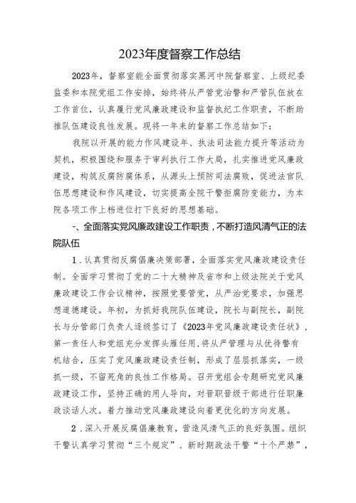 2023督察工作总结.docx