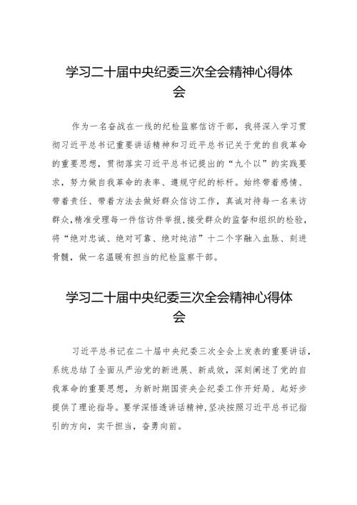 纪检人员学习二十中央纪委三次全会精神心得体会十九篇.docx