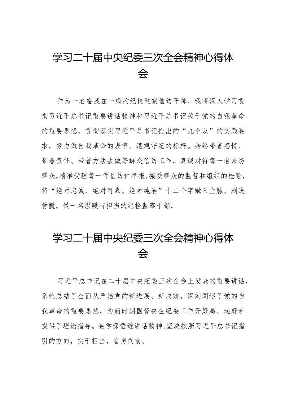 纪检人员学习二十中央纪委三次全会精神心得体会十九篇.docx_第1页