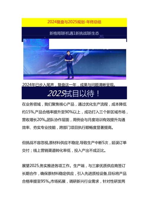 2024复盘与2025规划年终总结.docx