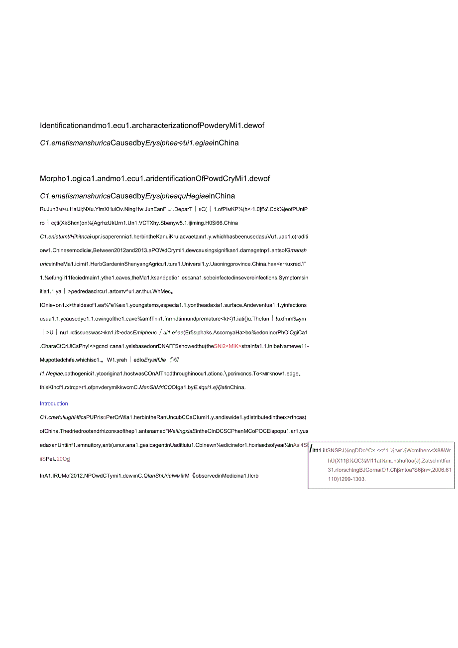 Identification and molecular characterization of Powdery Mildew of Clematis manshurica CausedErysiphe aquilegiae in China.docx_第1页