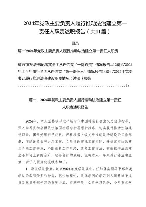 (11篇)2024年党政主要负责人履行推动法治建立第一责任人职责述职报告范文.docx