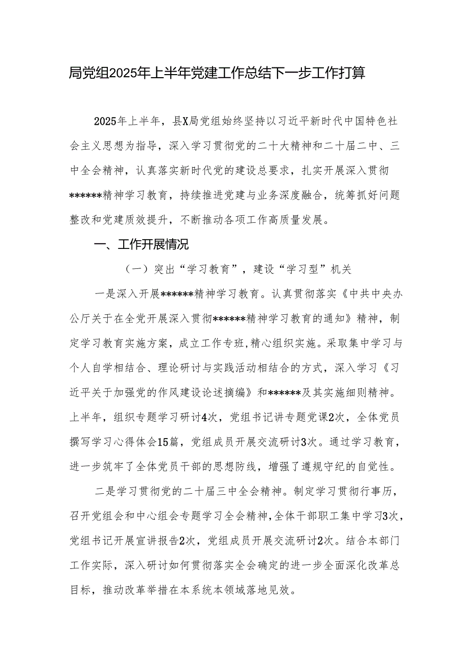 县级局党组2025年上半年党建工作总结下一步工作打算.docx_第2页