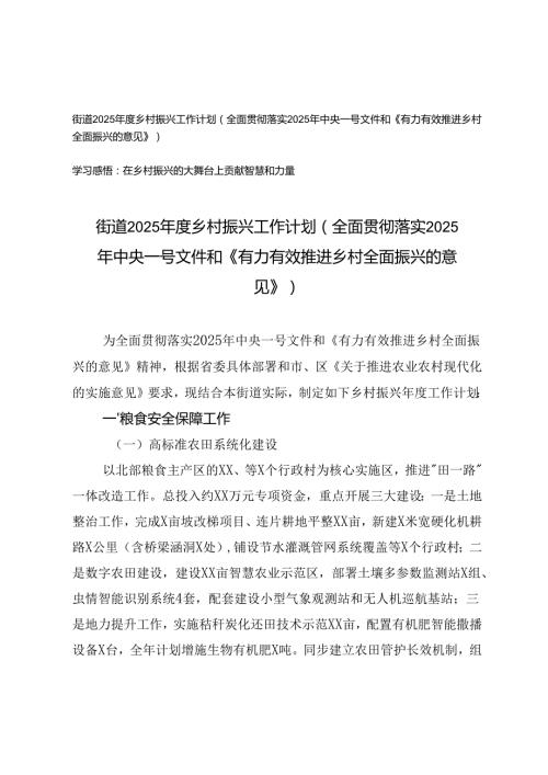 街道2025年度乡村振兴工作计划+心得体会（全面贯彻落实2025年中央一号文件和《有力有效推进乡村全面振兴的意见》）.docx