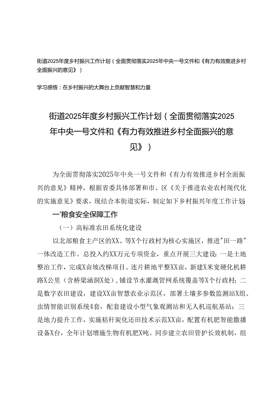 街道2025年度乡村振兴工作计划+心得体会（全面贯彻落实2025年中央一号文件和《有力有效推进乡村全面振兴的意见》）.docx_第1页