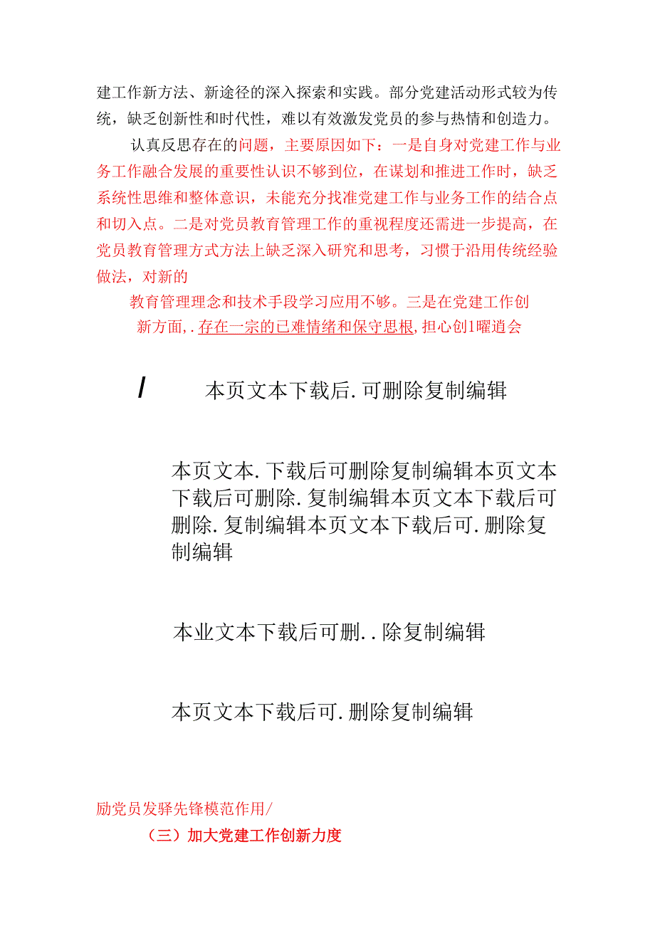 2024党支部书记抓基层党建述职报告（精选）.docx_第3页