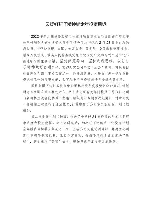发扬钉钉子精神 锚定年投资目标.docx