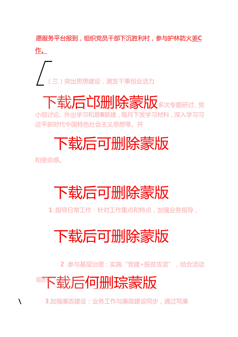 2025党支部党建工作总结及下一步工作计划（详细版）.docx_第3页