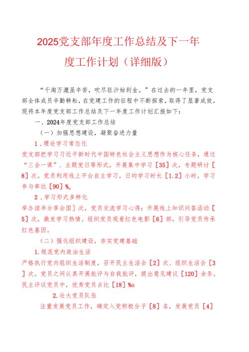 2025党支部工作总结及下一工作计划（详细版）.docx