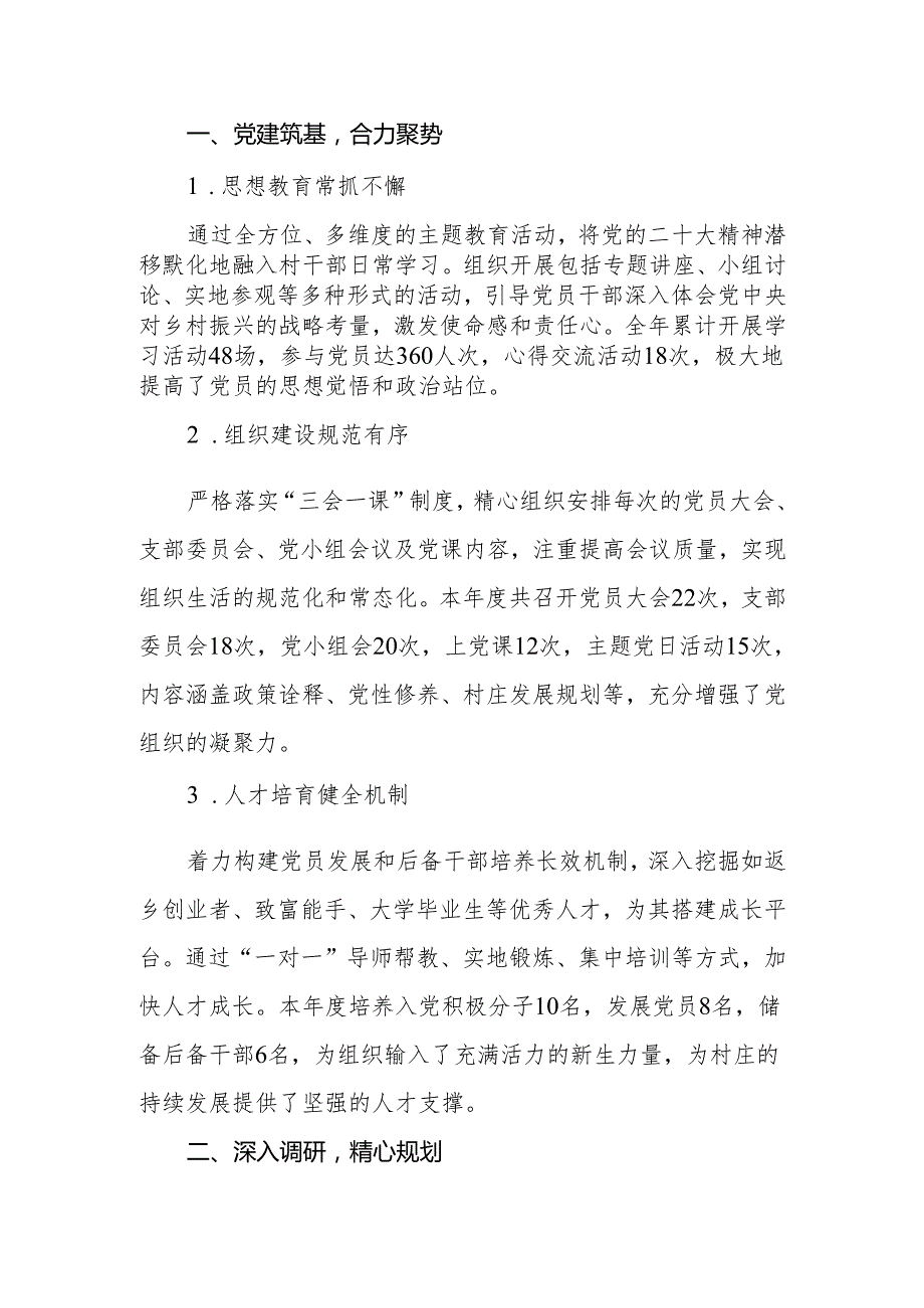 2024年驻村第一书记述职报告.docx_第3页