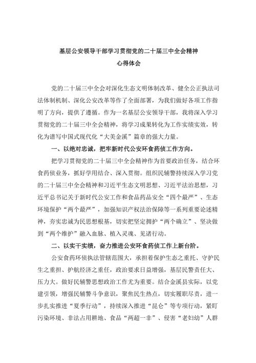 （11篇）基层公安领导干部学习贯彻党的二十三中全会精神心得体会范文.docx