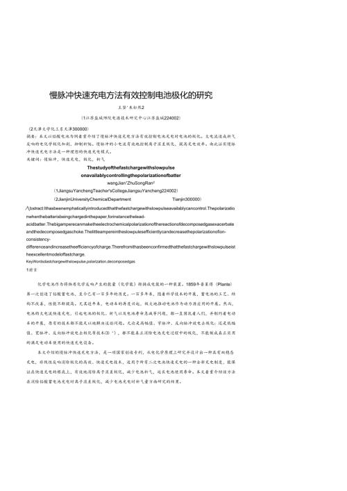 电池极化.docx
