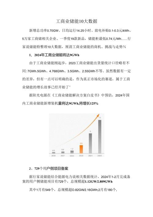 工商业储能10大数据.docx