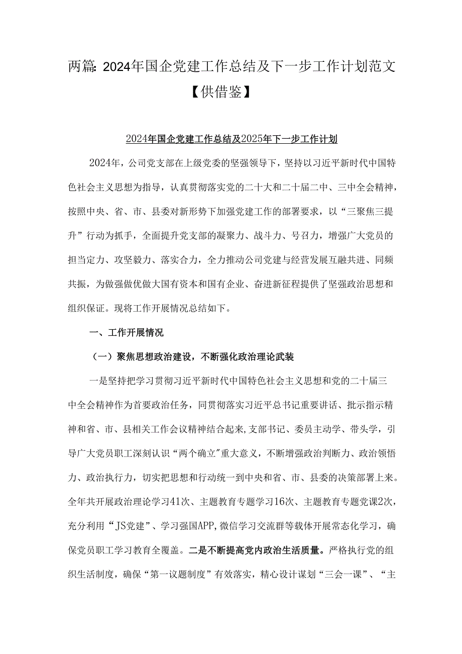 两篇：2024年国企党建工作总结及下一步工作计划范文【供借鉴】.docx_第1页
